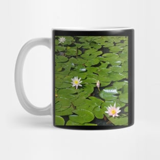 Water lilies Mug